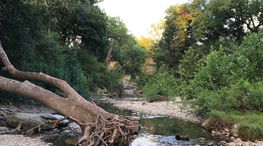 Onion Creek Trailer Rentals